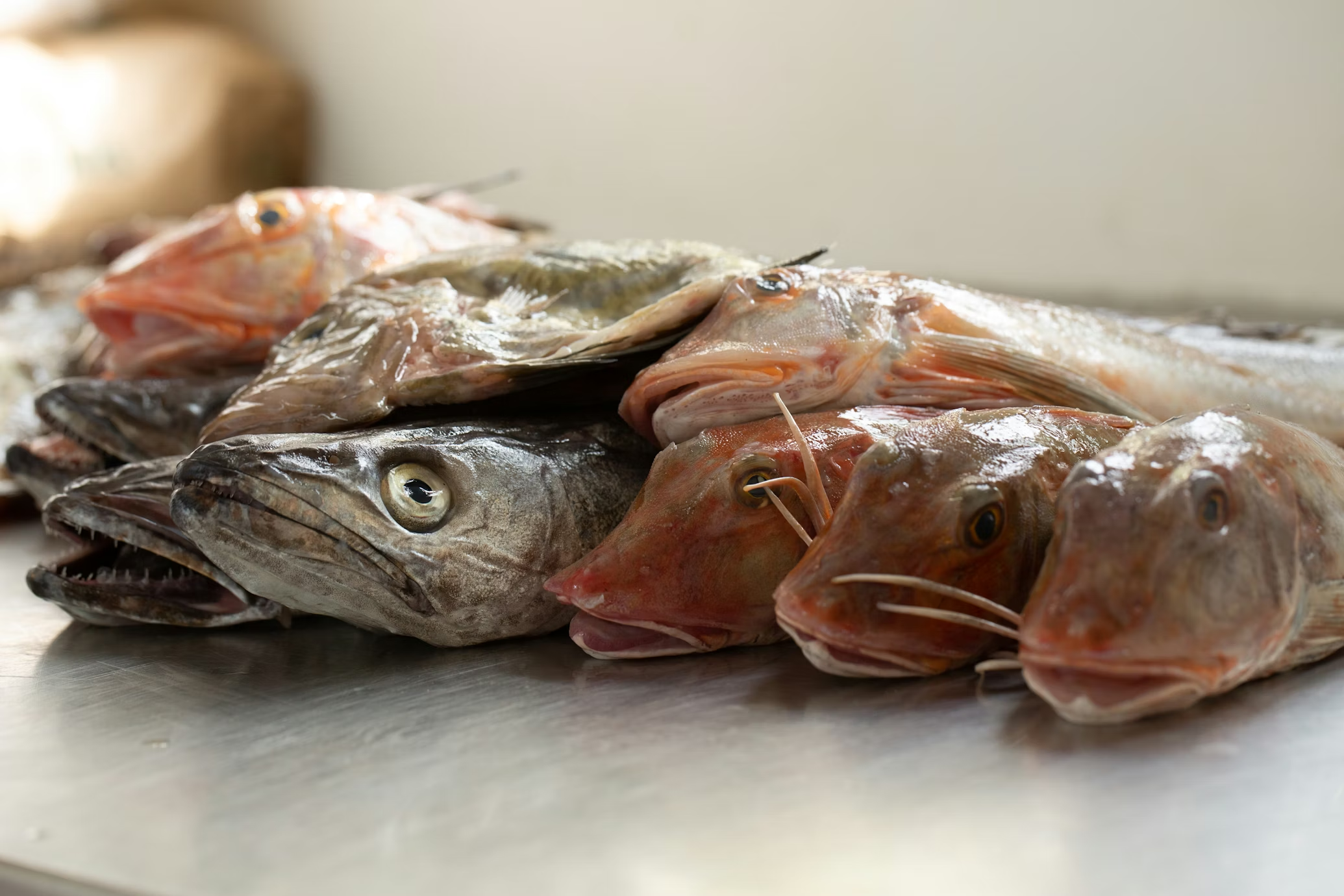 Photo of a man giving a talk on stage with blue curtains behind him.